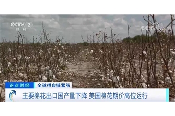 央視調(diào)查：棉花大漲！服裝訂單量下滑，外貿(mào)企業(yè)面臨“三座大山”